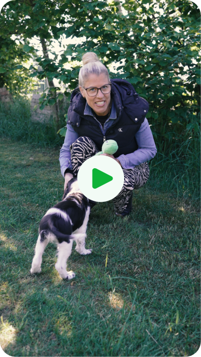 Vorschaubild des Videos