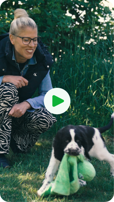 Vorschaubild des Videos