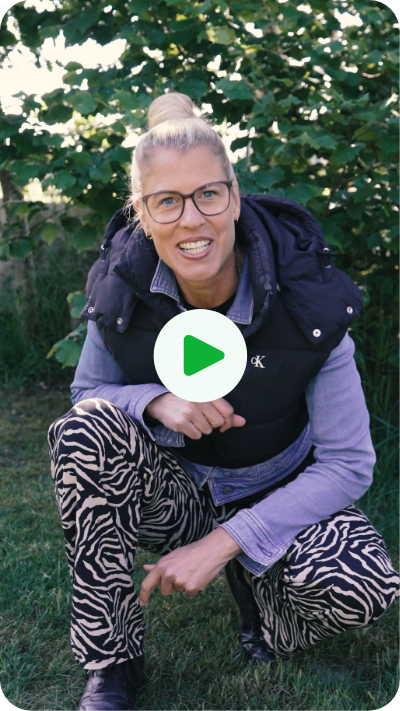 Vorschaubild des Videos