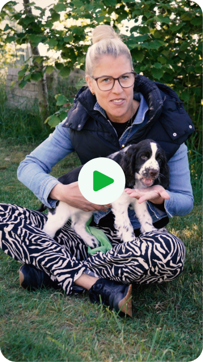 Vorschaubild des Videos