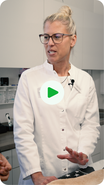 Vorschaubild des Videos