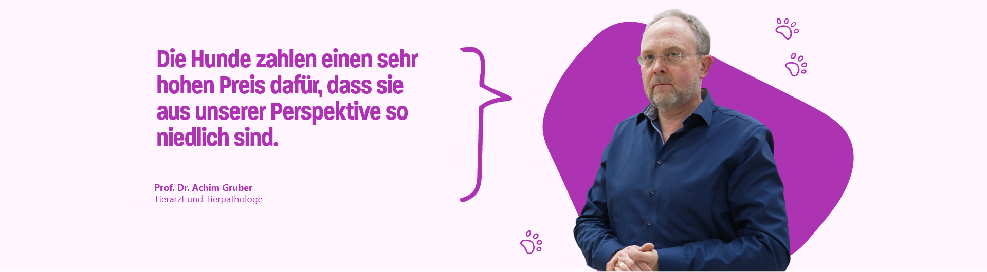 Zitat von Prof. Dr. Achim Gruber, Tierarzt und Tierpathologe: Die Hunde zahlen einen sehr hohen Preis dafür, dass sie aus unserer Perspektive so niedlich sind.
