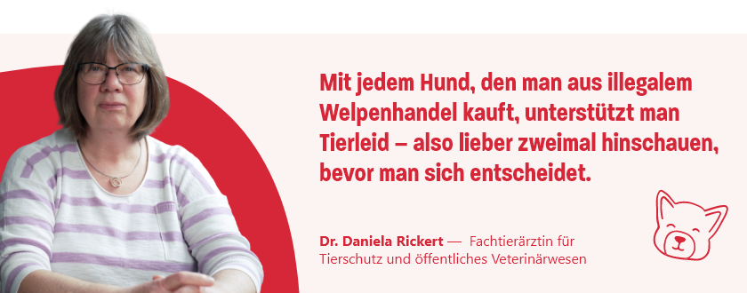 Zitat von Dr. Daniela Rickert, Fachtierärztin für Tierschutz und öffentliches Veterinärwesen :Mit jedem Hund, den man aus illegalem Welpenhandel kauft, unterstützt man Tierleid – also lieber zweimal hinschauen, bevor man sich entscheidet.
